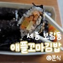 아담’s 꼬마김밥 | [세종 맛집] 세종 시청 근처 간단한 점심, 보람동 '애플꼬마김밥' 포장 후기