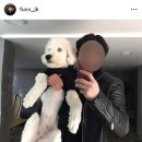 봉자 이미지