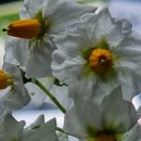 고마운행정사 이미지