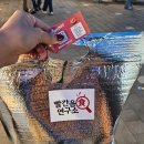 테크노대로 | 2025달성 캠프닉페어 관람후기🏕️