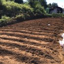 대학농장 이미지