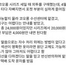 코오롱옷수선