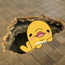 칭찬고래플랜멘토