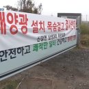 탈원전 한국, 태양광 설치로 나무 249만 그루 훼손...산사태의 주요원인, 태양광 난개발… 산지 훼손으로 여의도 면적 15배 사라져 이미지