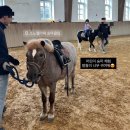 소노펠리체 승마클럽 | 홍천 소노펠리체 승마클럽 - 어린이 승마 체험 추천 후기