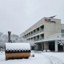 홍삼천국 이미지