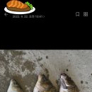 신원대로-9 이미지