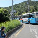 금정구청 앞 버스정류소 이미지