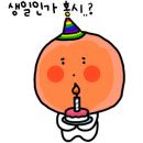 싱싱도서관 이미지