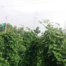 서천농장 이미지