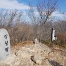 백양사진입로 티스토리