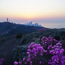 여여정 이미지