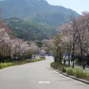 코끼리가든 이미지