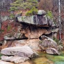 문경 오미자테마터널 이미지