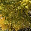 위고 | 서울 '커플, 웨딩스냅'<위고스냅> 촬영 후기