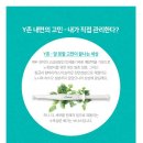 마이셀 네이버블로그