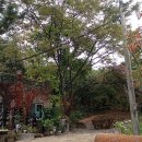 꽃피는산골 이미지