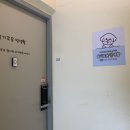 슬기로운멍생활 이미지