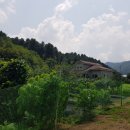 단월우체국 네이버블로그
