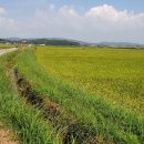 명당마을경로당 이미지