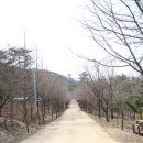28번째 이야기 옥화자연휴양림