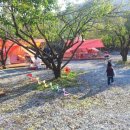 너울가지 이미지