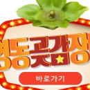 영동황간로1 이미지