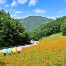 황금공원 이미지