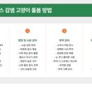 도그플러스 동물병원 이미지