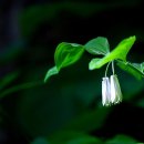 알봉 둘레길 이미지