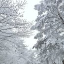 스테이 로운 이미지