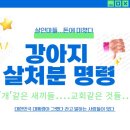 팔방계 이미지