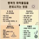 사랑으로 이미지