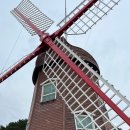 림바발리스 이미지