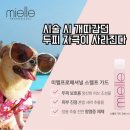 미엘헤어 이미지
