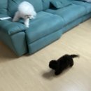정리 안 된 우리 추억을 대책 없이 꺼내