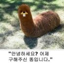자르바니 | 나이 반납할게요 환불해주세요 깔끔하게 사용했고요 기스 없어요
