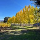 사그라도 이미지