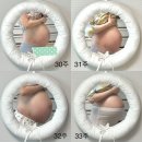 정가네 목장 | 홈 프로텍터의 일상 (휴직 돌입/ 역아태동/ 출산휴가 답례품/이유즈 임산부 종아리 마사지기/ 임신후기)