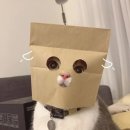 현승