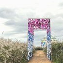 마포-현장-마포-1500 이미지