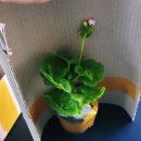 아랑농장 이미지