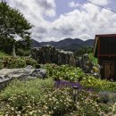 백화쉼터 이미지