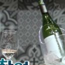 한수무역-수입 | 뉴질랜드와인에 대해서 : 남궁민와인, 클라우디베이소비뇽블랑이 다 가아니다!