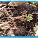 겸손 노래연습장 이미지