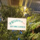 뱀부포레스트(BAMBOO Forest) 이미지