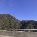 여주-1108 이미지