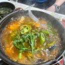 참가자미나라 이미지