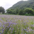 성은비료 이미지