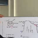 플레이어 | 보홀 스쿠버다이빙 시작은 오션플레이어보홀 추천 후기
